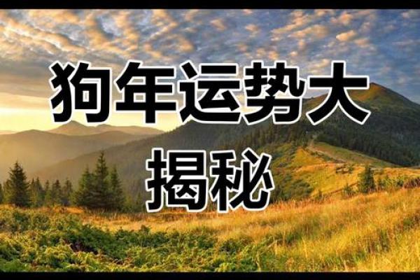 1982年属狗2025年全年运程解析事业财运与感情运势全揭秘