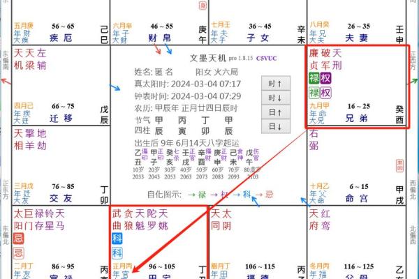 2025年4月19日午时男命紫微斗数全解盘