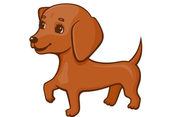 勾心斗角准确答案生肖