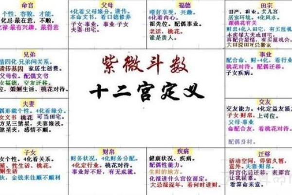 2025年4月15日酉时女命紫微斗数全解盘 2025年4月15日酉时女命紫微斗数全解盘