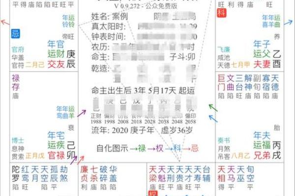 2025年4月5日寅时男命紫微斗数全解盘