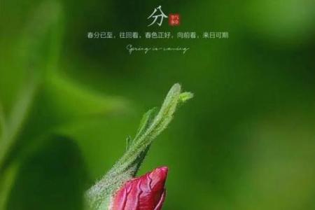 2022年几点几分立春