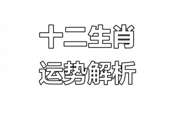 2019年是什么生肖