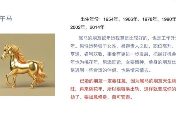 2025马年运势及运程_属马2025年运势完整版