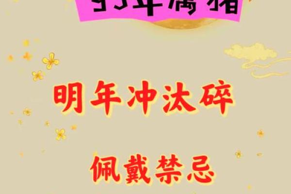 2007属猪男孩2025考试运势_07年猪25年高考顺利吗
