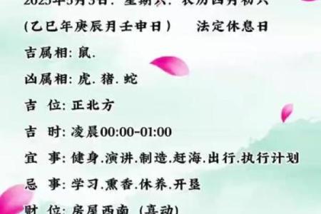 1984年的老鼠今年的运势怎样