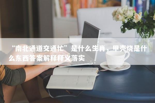 “南北通道交通忙”是什么生肖，甲壳烧是什么东西答案解释释义落实