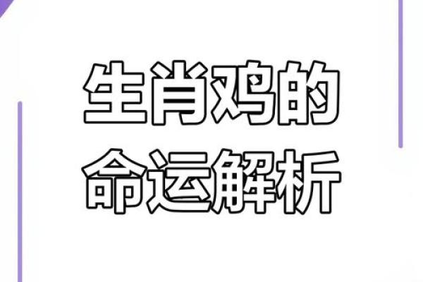 1993年属鸡女一生运势解析事业爱情财运全揭秘