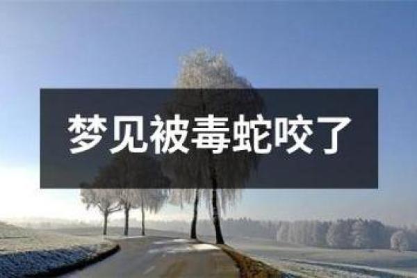 梦见被蛇追着咬是什么意思 周公解梦