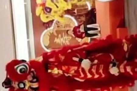 摇头摆尾打一最佳生肖(摇头摆尾打一最佳生肖)