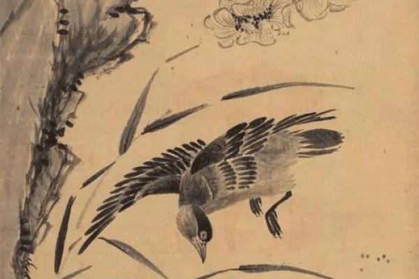 鸳鸯戏水是什么生肖(鸳鸯戏水打一成语)