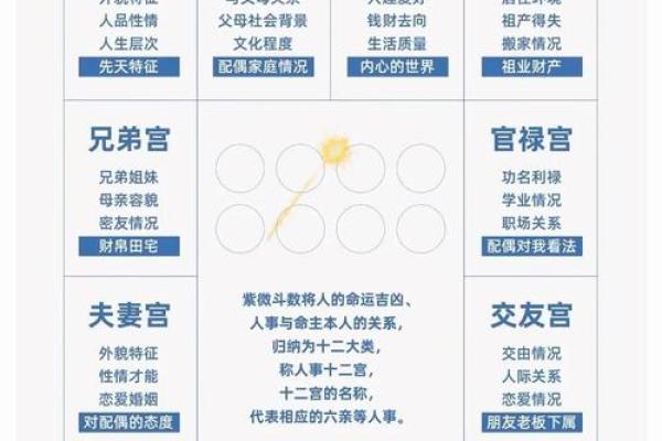 2025年4月3日酉时女命紫微斗数全解盘 2025年4月3日酉时女命紫微斗数全解盘