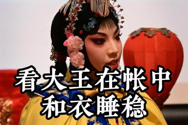 “和衣而睡”打一正确的生肖，和衣而睡正确一肖答案解释释义落实