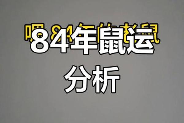 1984年属鼠是什么命2025年运势