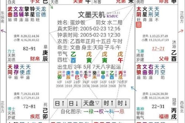 2025年4月15日午时男命紫微斗数全解盘