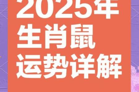60年鼠2025年运势