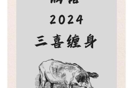 属猪的2025运势怎么样95年出生的_95年属猪人2025年运势解析财运事业感情全揭秘