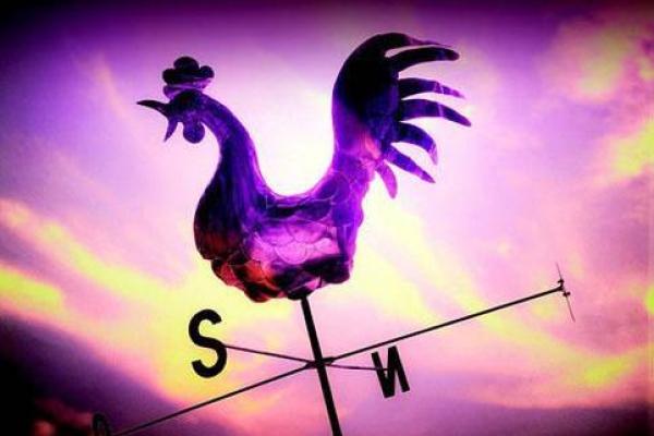 一毛不拔是指哪个生肖