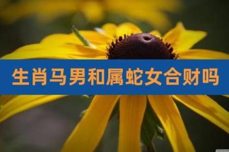 2002年属马的女最佳婚配_2002属马最佳配偶