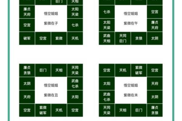 2025年4月24日戌时女命紫微斗数全解盘