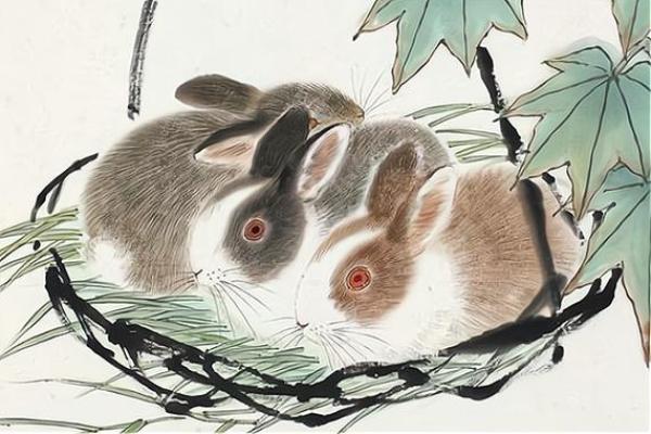 属兔今年开业什么时间好一点