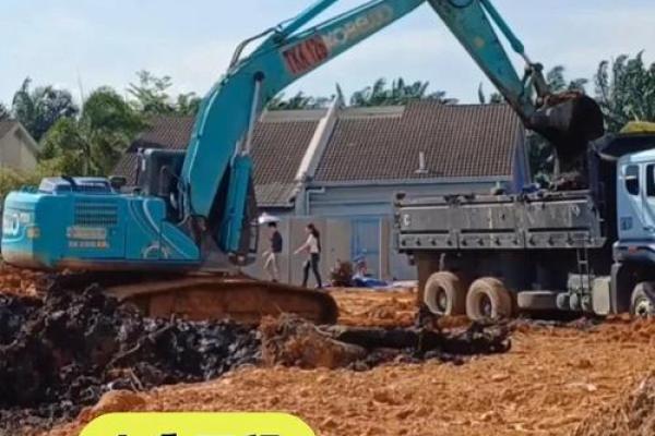 2月2不能动土吗(2月2可以动土吗)