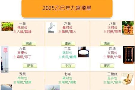 今年动土大利什么方位(2020年动土哪个方向好了)