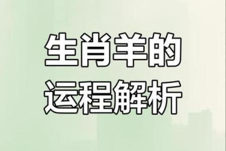 2025属羊的多大_2025年属羊人年龄详解你今年多大