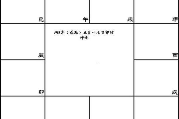 2025年4月24日戌时男命紫微斗数全解盘