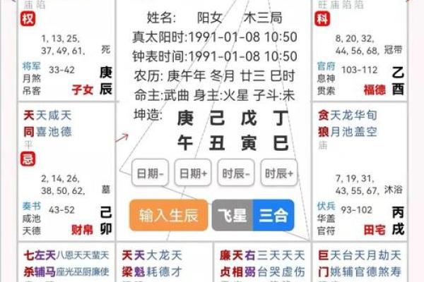 2025年4月8日巳时女命紫微斗数全解盘