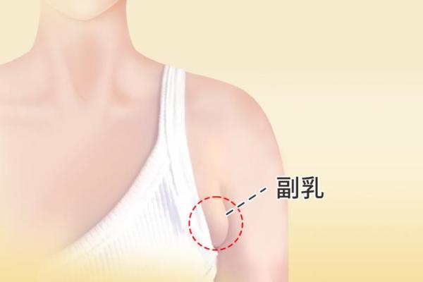 梦见男人吃自己乳房是什么意思