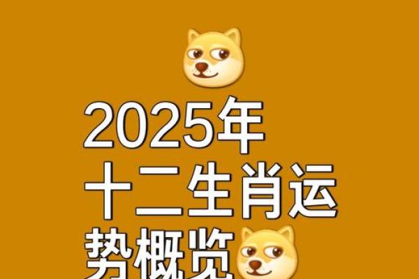 2025年鼠人运程1972每月运势