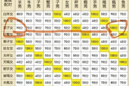 水瓶座女双子座男(水瓶女与双子座男)