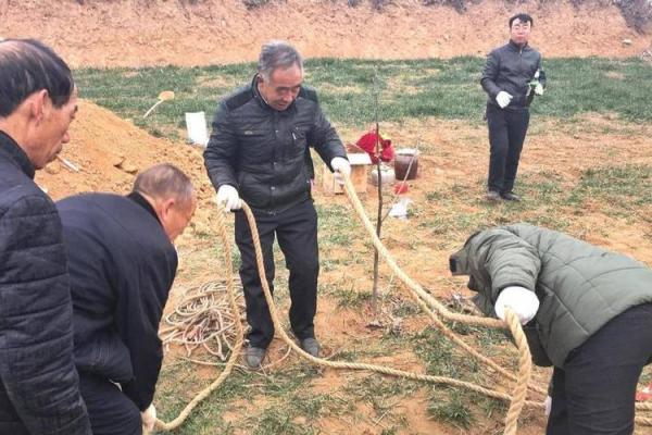 今天能动土吗家里