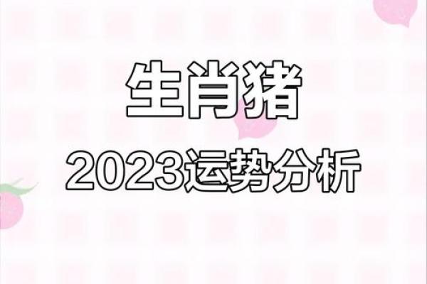 1983年属猪人2023年全年运势详解及运势提升指南