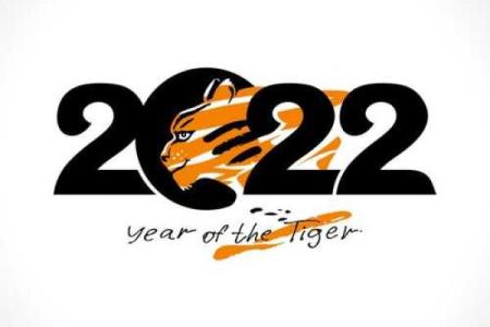 1971属猪2025年运势及运程_1971年属猪2025年运势解析运程详解与吉凶预测