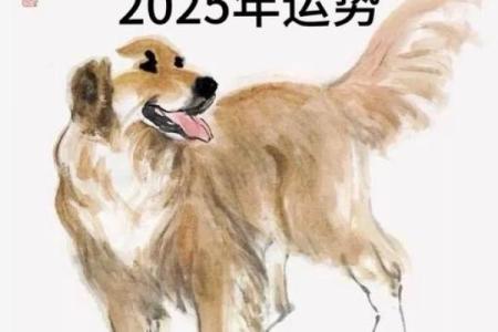 2025年属狗人运势及运程_2025年属狗人运势及运程如何