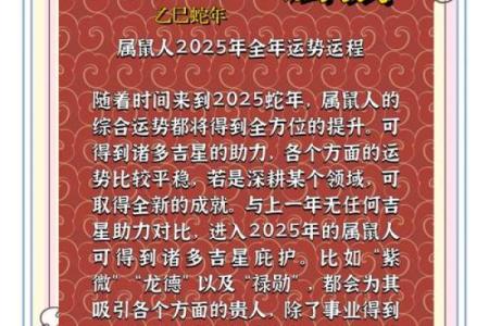 2025年属鼠的人的全年运势