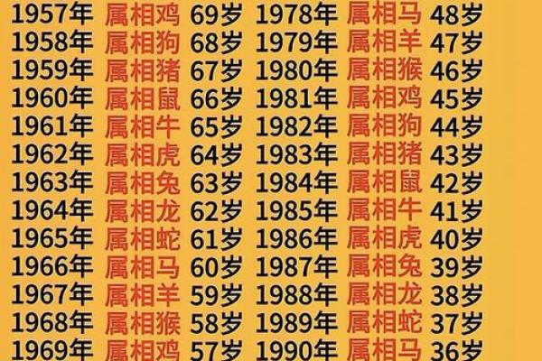 1984年属鼠2025年运势及运程