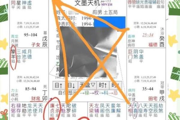 2025年4月27日丑时男命紫微斗数全解盘