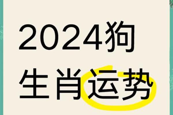 2025年属狗的全年运势1994_2025年属狗1994年出生者全年运势详解