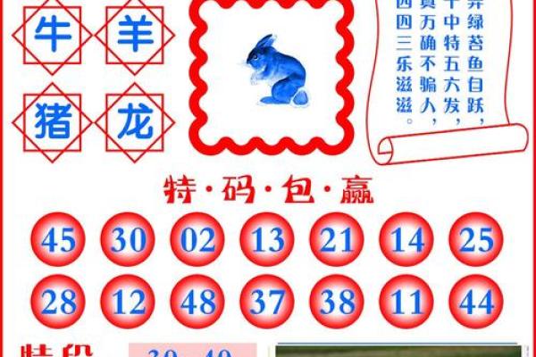 “尽收眼底”打一准确动物生肖，尽收眼底是什么生肖答案解释释义落实