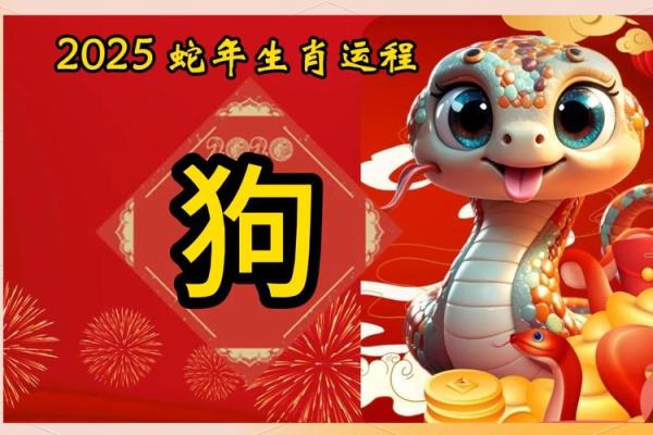 2025年属狗最后一难 70年属狗55岁大劫难