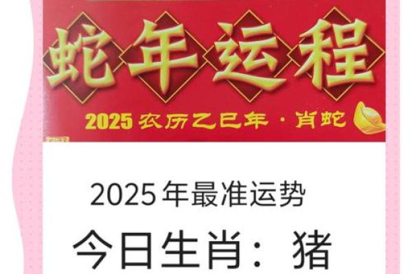 2025属猪人全年每月运势详解及运势提升指南