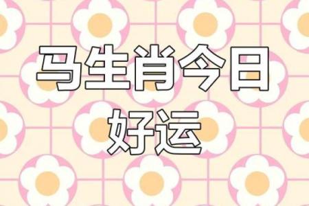 2025年属马人的全年每月运_属马2025年运势及运程详解每月