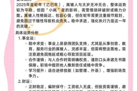 2025属猪人全年每月运势详解及运势提升指南