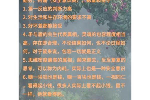 96年属鼠人2025年全年运势运程