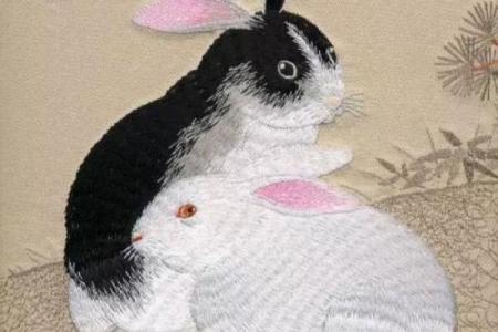 出双入对打一生肖(出双入对猜生肖)