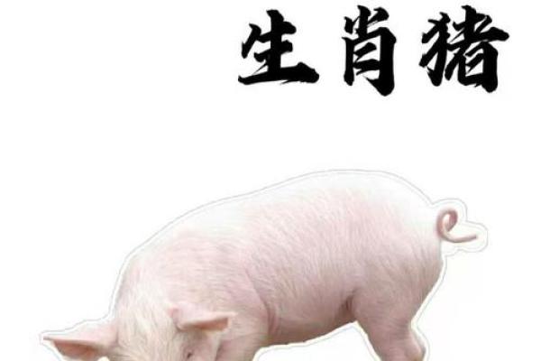 71年属什么生肖 71年属什么生肖