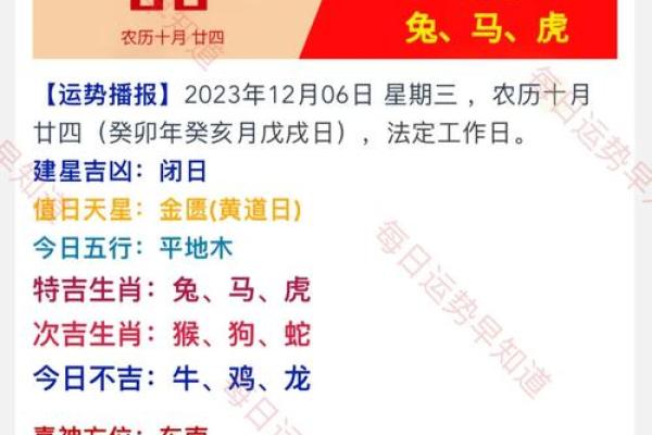 属马人在2025年的每月运势 2025年属马人每月运势全解析全年运程完整指南